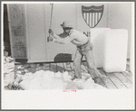 Breaking ice with flat side of ax, La Pryor, Texas