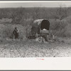 Man encamped in the mesquite near Uvalde, Texas