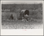 Man encamped in the mesquite near Uvalde, Texas
