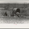 Man encamped in the mesquite near Uvalde, Texas