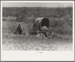 Man encamped in the mesquite near Uvalde, Texas