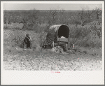 Man encamped in the mesquite near Uvalde, Texas