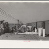 Spinach loading platform, La Pryor, Texas