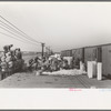 Spinach loading platform, La Pryor, Texas