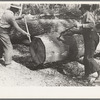 Using peaveys in handling timber at camp near Effie, Minnesota