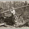 Lumberjack carrying a log at camp near Effie, Minnesota