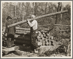 Lumberjack carrying a log at camp near Effie, Minnesota