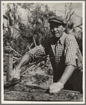 Lumberjack at camp near Effie, Minnesota