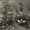 Slashings left after logging operations at camp near Effie, Minnesota