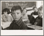 Pupil in rural school. Williams County, North Dakota