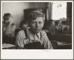 Pupil in rural school. Williams County, North Dakota