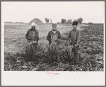 Mexican beet workers, near Fisher, Minnesota