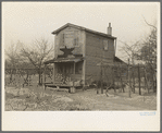 Farmhouse of pine area, New Jersey