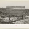 Sign advertising land for farm purposes, pine area, New Jersey