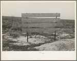 Sign advertising land for farm purposes, pine area, New Jersey