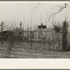 Farmhouse and yard, pine area, New Jersey