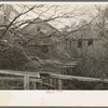 Old sawmill, pine area, New Jersey