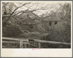 Old sawmill, pine area, New Jersey