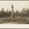 Remains of house destroyed by fire, cut-over area, New Jersey