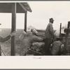 Southeast Missouri Farms. FSA (Farm Security Administration) client, former sharecropper moving with all possessions on truck from old home to new house