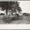 New Madrid County, Missouri. FSA (Farm Security Administration) client with mules and wagon in front of cooperative store