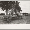 New Madrid County, Missouri. FSA (Farm Security Administration) client with mules and wagon in front of cooperative store