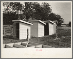 Privies. Onward march the crusaders of rural sanitary conditions. Southeast Missouri Farms Project