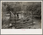 Pigpen made on parts of old beds, near Harlingen, Texas, in white migrant camp