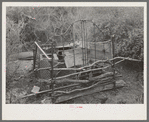 Pigpen made on parts of old beds, near Harlingen, Texas, in white migrant camp