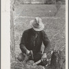 White migrant making stakes for setting up his tent near Harlingen, Texas