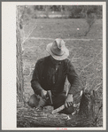 White migrant making stakes for setting up his tent near Harlingen, Texas