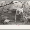 White migrant worker living in camp with two other men, working on lean-to which is to be his sleeping quarters. Near Harlingen, Texas