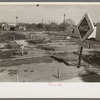 Midget golf course, Raymondville, Texas