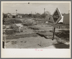 Midget golf course, Raymondville, Texas