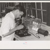 Chemist running microscopic test on sweet potato starch at plant, Laurel, Mississippi