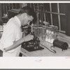 Chemist running microscopic test on sweet potato starch at plant, Laurel, Mississippi