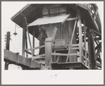 Putting lime into water supply at sweet potato starch plant, Laurel, Mississippi