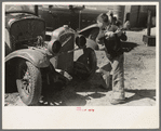 Son of migrant auto wrecker, Corpus Christi, Texas