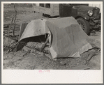 Tent in which migrant boy sleeps, Sebastin, Texas