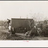 Migrants camped in mesquite near Edinburg, Texas