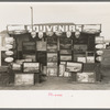 Souvenir stand of "buckeye" painter, Corpus Christi, Texas