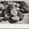 Tops for spinach baskets, La Pryor, Texas