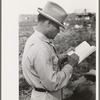 Mexican laborer contractors employ a checker who keeps track of number of baskets cut by each cutter, La Pryor, Texas. He also okays the baskets for shipping from fields