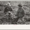 Checker of Mexican labor contractor talking to cutter, La Pryor, Texas