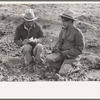 Checker of Mexican labor contractor talking to cutter, La Pryor, Texas