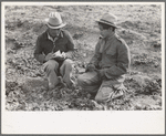 Checker of Mexican labor contractor talking to cutter, La Pryor, Texas