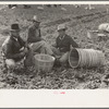 Mexican labor contractor and inspectors in the fields, La Pryor, Texas