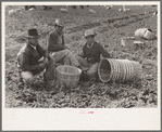 Mexican labor contractor and inspectors in the fields, La Pryor, Texas