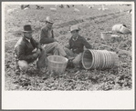 Mexican labor contractor and inspectors in the fields, La Pryor, Texas