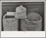 Cane, corn and cotton seed displayed for sale for seed purposes. These are the main crops of San Augustine County, Texas